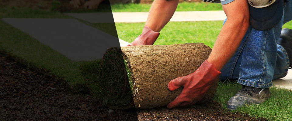 Elmore Landscapers